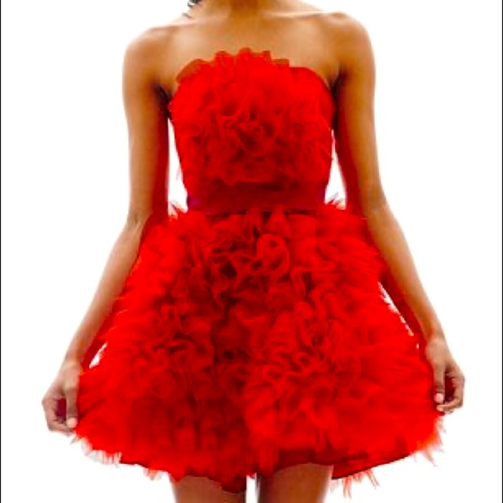Gorgeous Red Floral Pearl Marchesa Dress